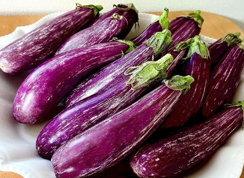 تصویر 1 از فروش بادمجان بنفش روشن + قیمت خرید به صرفه